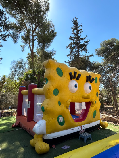 צילום מסך 2024-11-21 010614