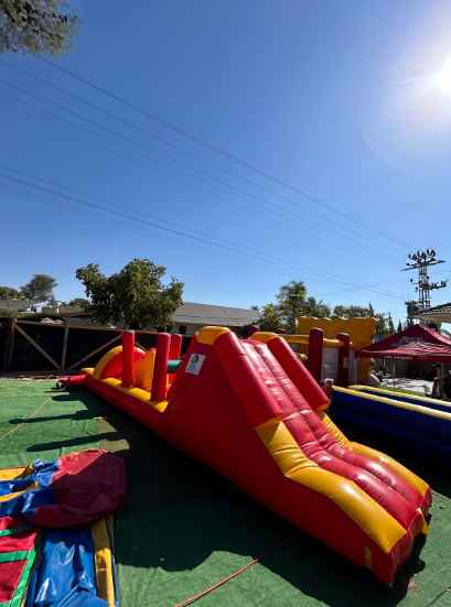 צילום מסך 2024-11-21 010624